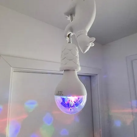 Le Petit Bonheur Avec Jardin - T3 * Jebsheim