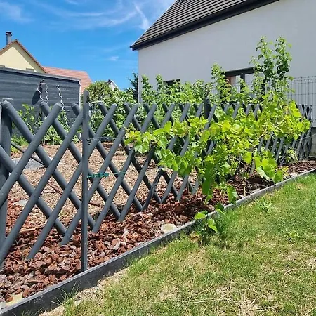 Le Petit Bonheur Avec Jardin - T3 Apartment *